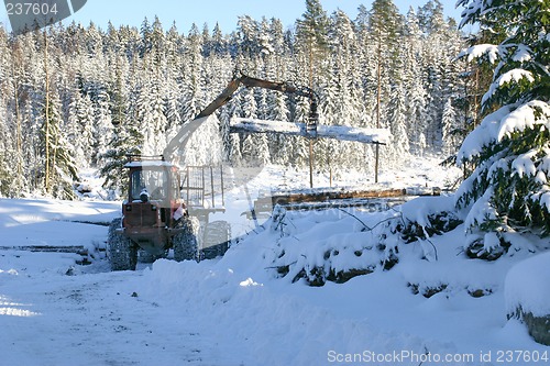 Image of timber loader