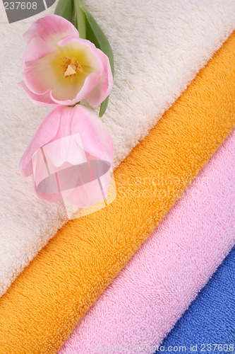 Image of towels