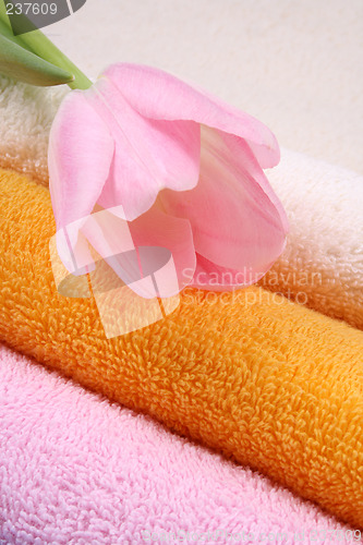 Image of towels
