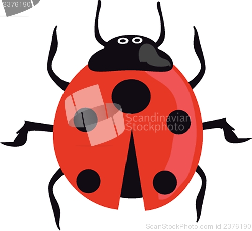 Image of Ladybird on the green grass.