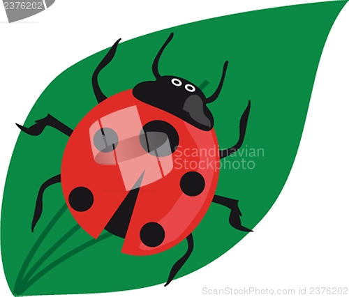 Image of Ladybird on the green grass.