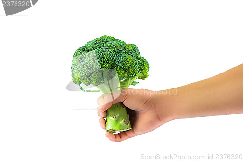 Image of Have Broccoli