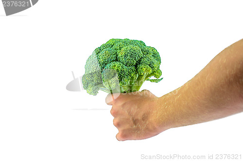 Image of Fresh Broccoli