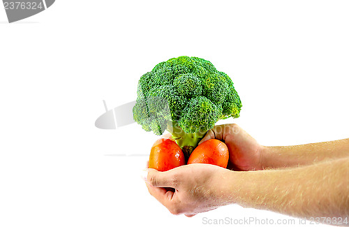 Image of Fresh Vegetables