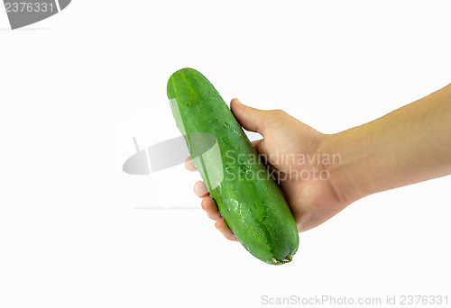 Image of Fresh Cucumber