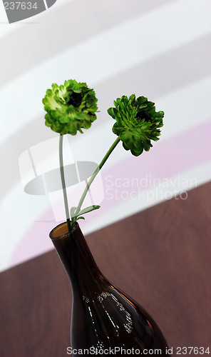 Image of Flowers in a vase