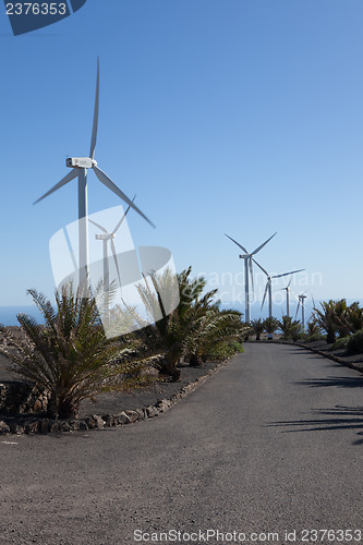 Image of Some place in Lanzarote