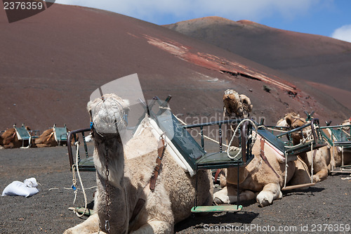 Image of Some place in Lanzarote