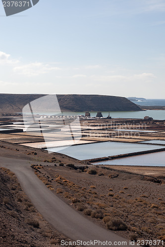 Image of Salinas de janubio