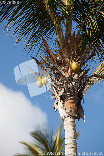 Image of Some place in Lanzarote