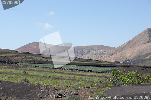 Image of Some place in Lanzarote