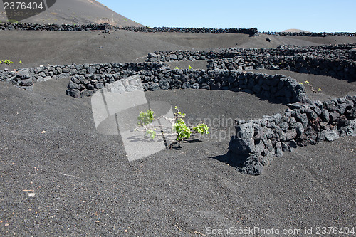 Image of Some place in Lanzarote