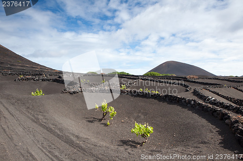 Image of Some place in Lanzarote