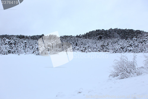 Image of Winter in Norway