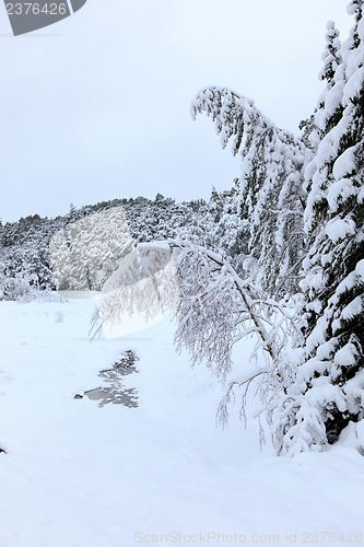 Image of Winter in Norway