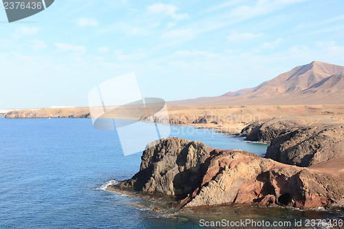 Image of Papagayo lanzarote 