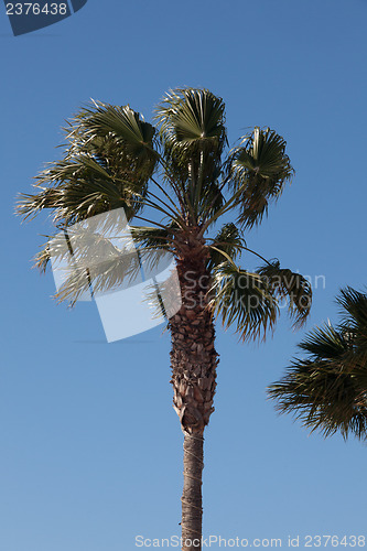 Image of Some place in Lanzarote