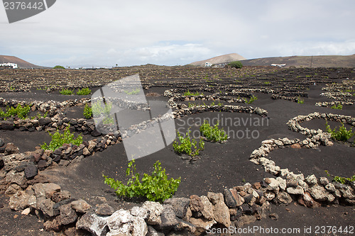 Image of Some place in Lanzarote