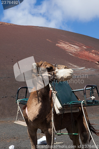 Image of Some place in Lanzarote