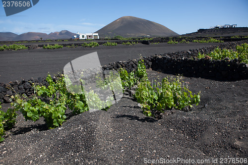 Image of Some place in Lanzarote