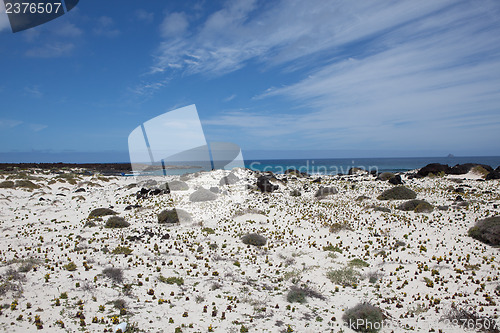 Image of Some place in Lanzarote