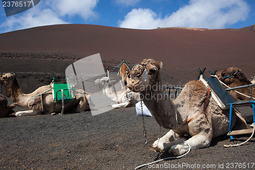 Image of Some place in Lanzarote