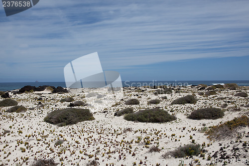 Image of Some place in Lanzarote