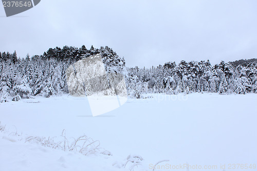 Image of Winter in Norway