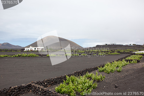 Image of Some place in Lanzarote