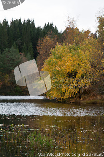 Image of Norwegian landscape