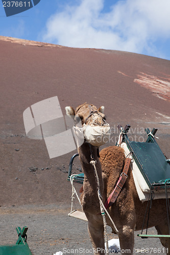 Image of Some place in Lanzarote