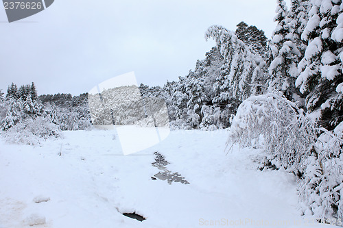 Image of Winter in Norway