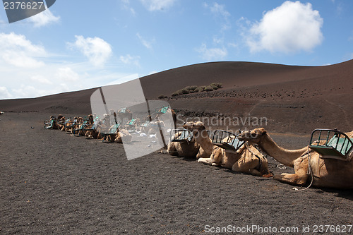 Image of Some place in Lanzarote