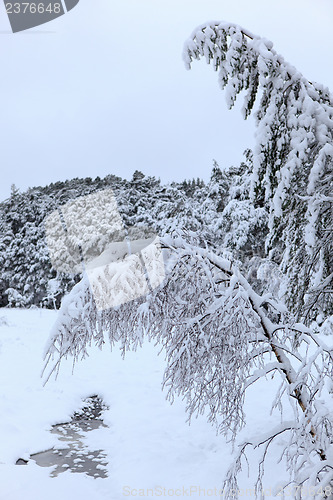 Image of Winter in Norway