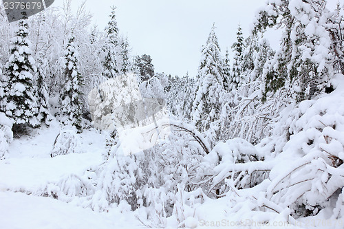 Image of Winter in Norway