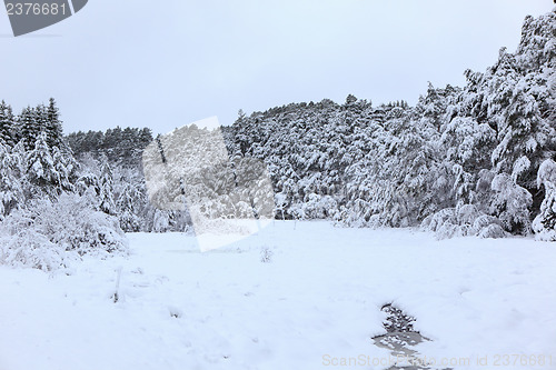 Image of Winter in Norway