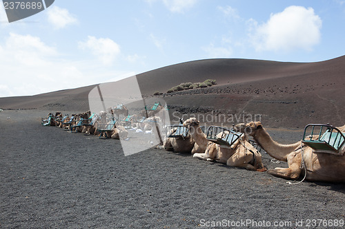 Image of Some place in Lanzarote