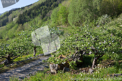 Image of Norwegian landscape