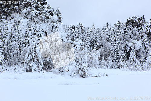 Image of Winter in Norway