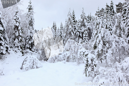 Image of Winter in Norway