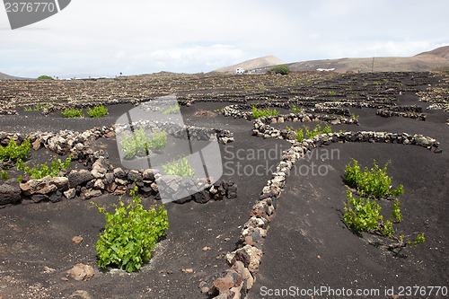 Image of Some place in Lanzarote