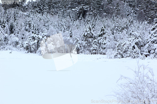 Image of Winter in Norway