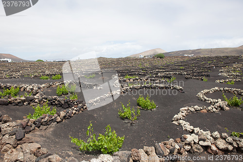 Image of Some place in Lanzarote