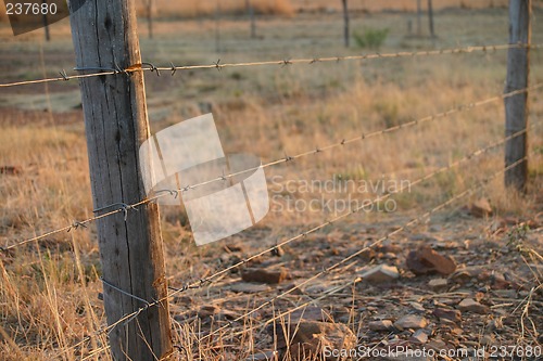 Image of Barbed wire fence