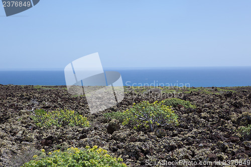 Image of Some place in Lanzarote