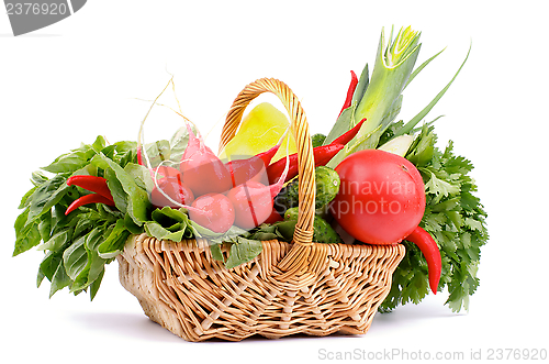 Image of Vegetable Basket