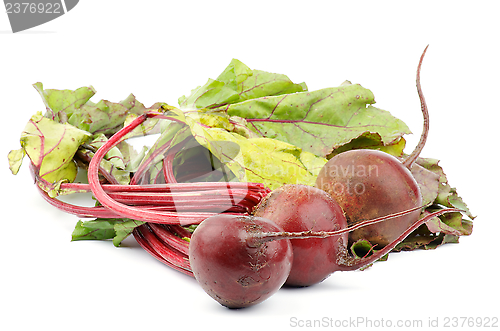 Image of Beetroot