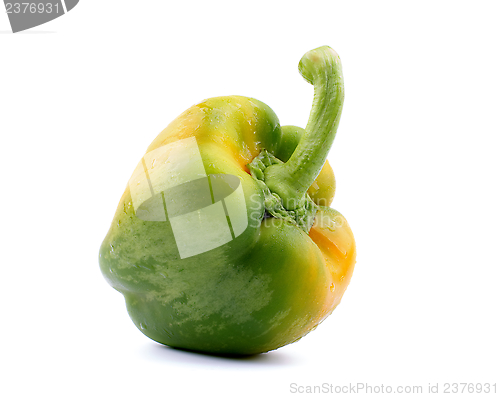 Image of Green Yellow Bell Pepper