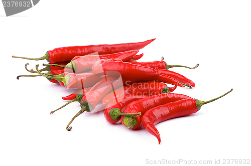 Image of Chili Peppers