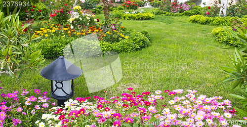 Image of Blossoming  flower beds